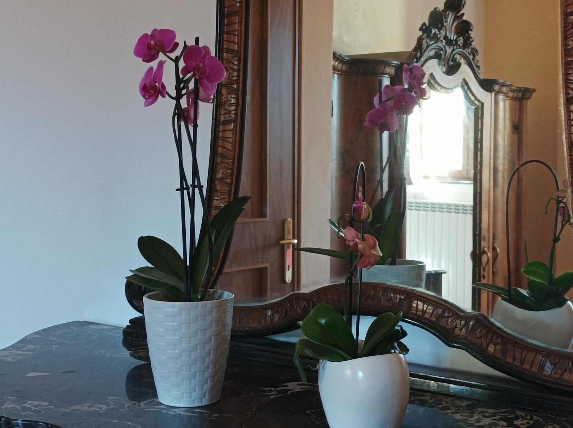Bed And Breakfast Da Pio Castello  Luaran gambar