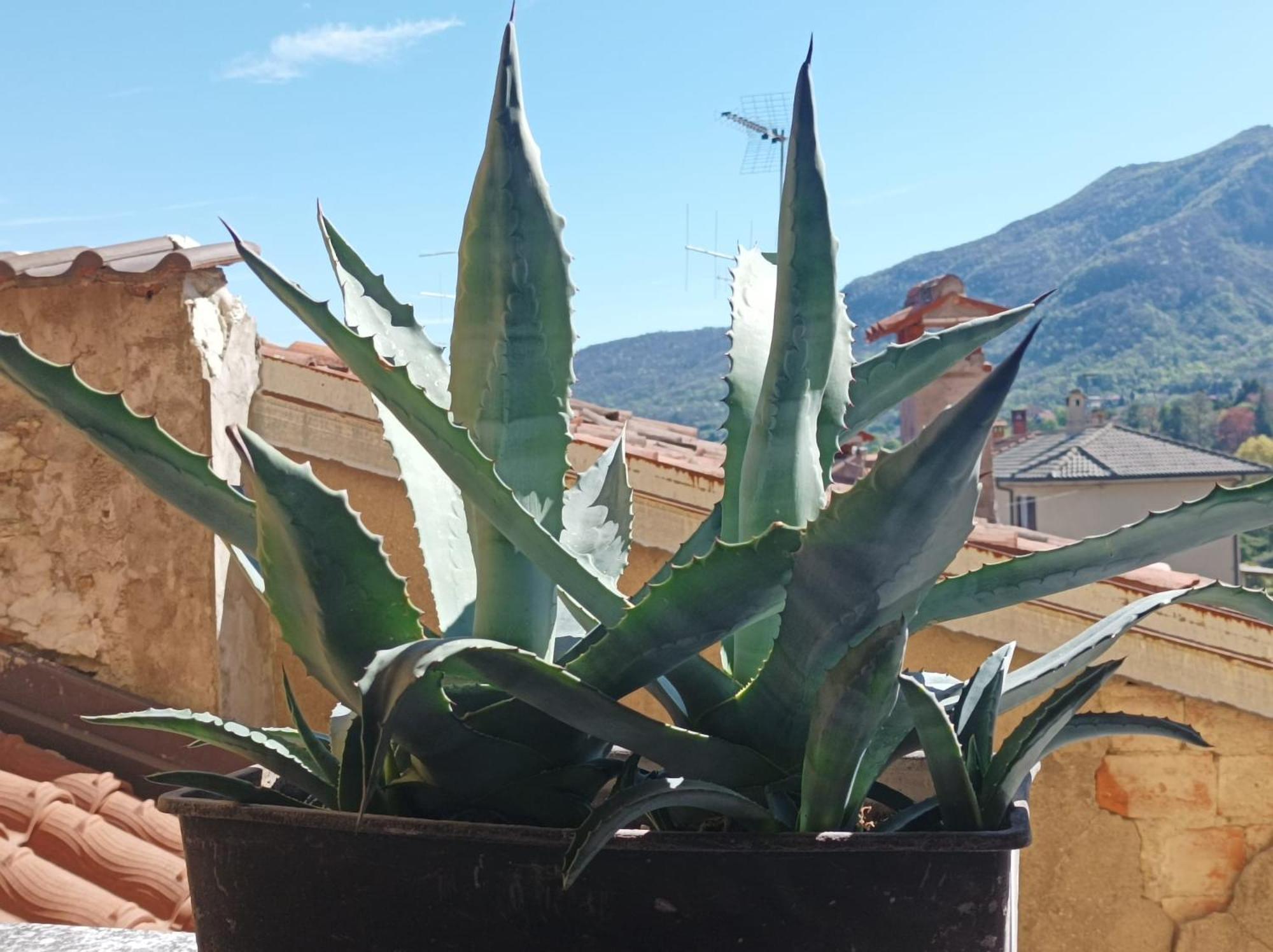 Bed And Breakfast Da Pio Castello  Luaran gambar